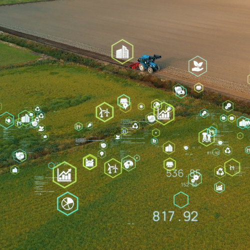 Chuyển Đổi Nông Nghiệp Thông Minh: Xây Dựng Nền Nông Nghiệp Bền Vững